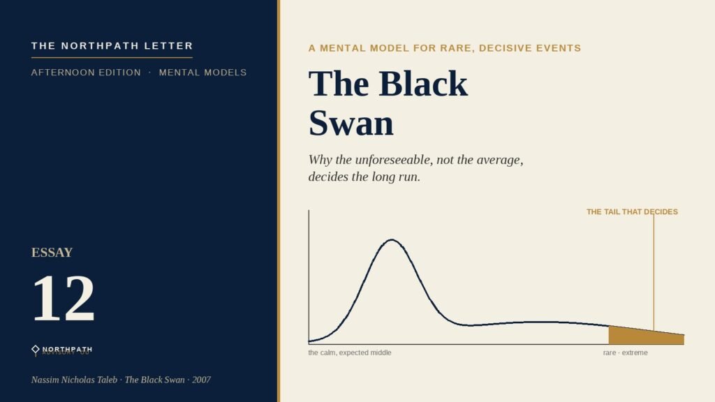 The Black Swan: Nassim Nicholas Taleb's 2007 Model of the Highly Improbable, and Why the Unforeseeable Event Decides the Long-Term Investor's Fate 8 Editorial cover: a fat-tailed distribution with a highlighted rare-event tail