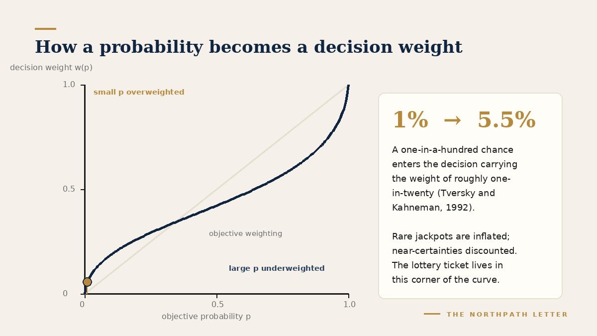 Inverse-S probability weighting curve from cumulative prospect theory: objective probability on the horizontal axis against decision weight on the vertical axis, with a one percent probability shown entering the decision at roughly five and a half percent
