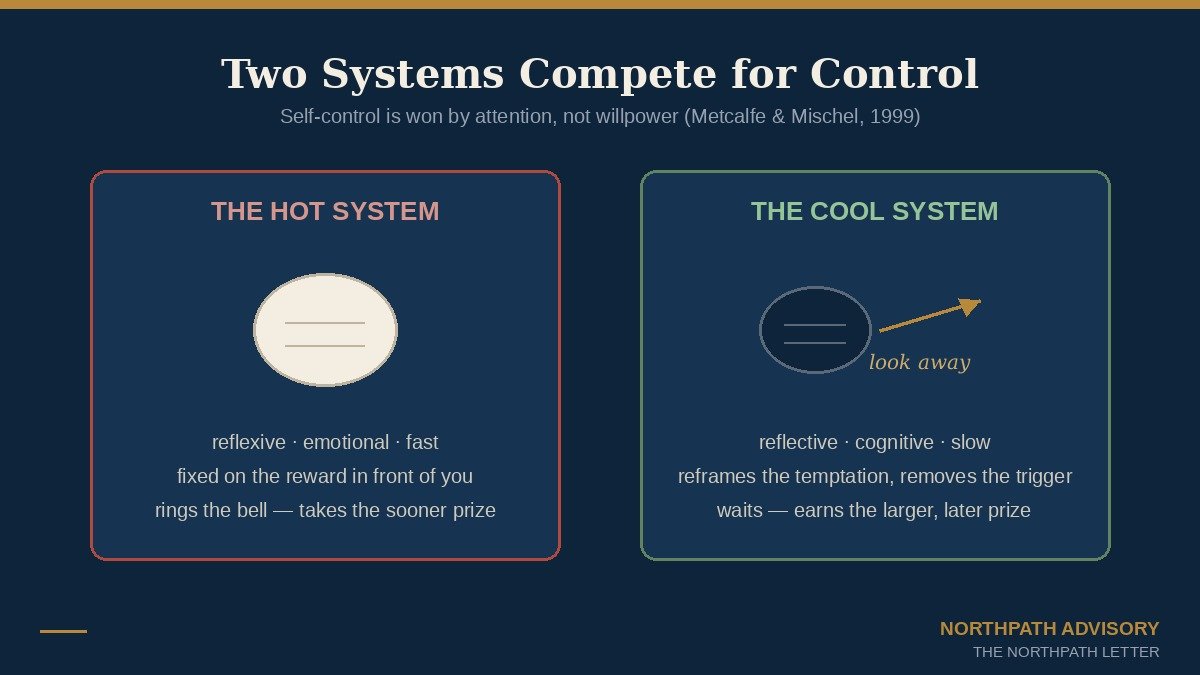 The Second Marshmallow: Walter Mischel’s 1968 Test of Self-Control, and Why the Market Pays Its Largest Rewards to the Long-Term Investor Who Can Wait 3 Diagram contrasting the impulsive hot system with the reflective cool system